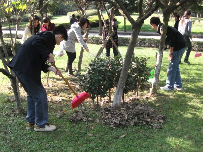 我院各系纷纷组织学生开展校园义务劳动