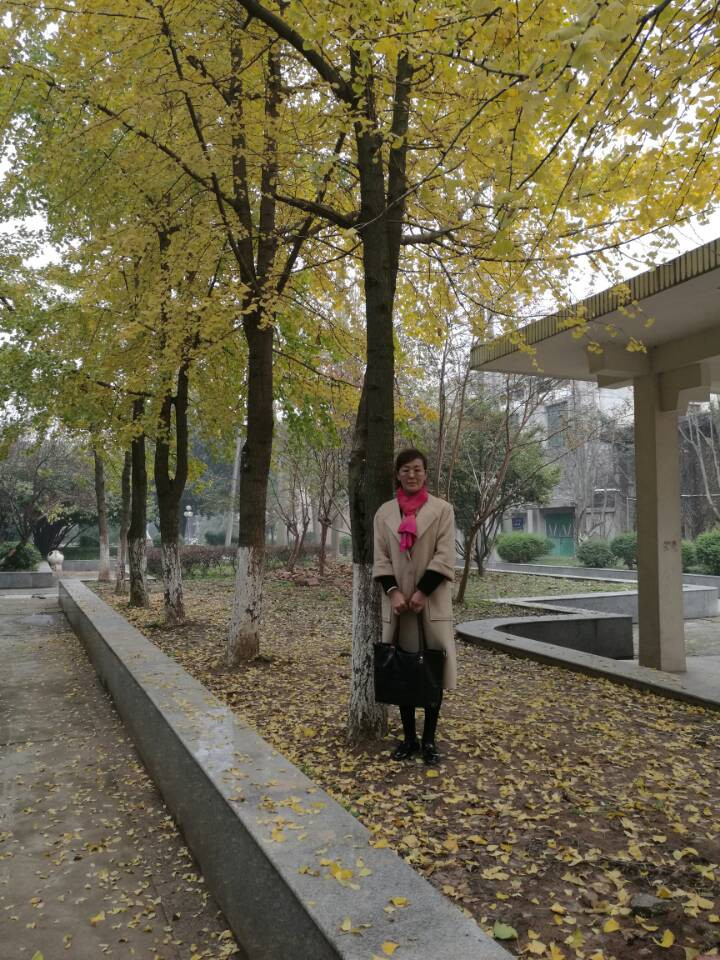 201704111450418171.JPG