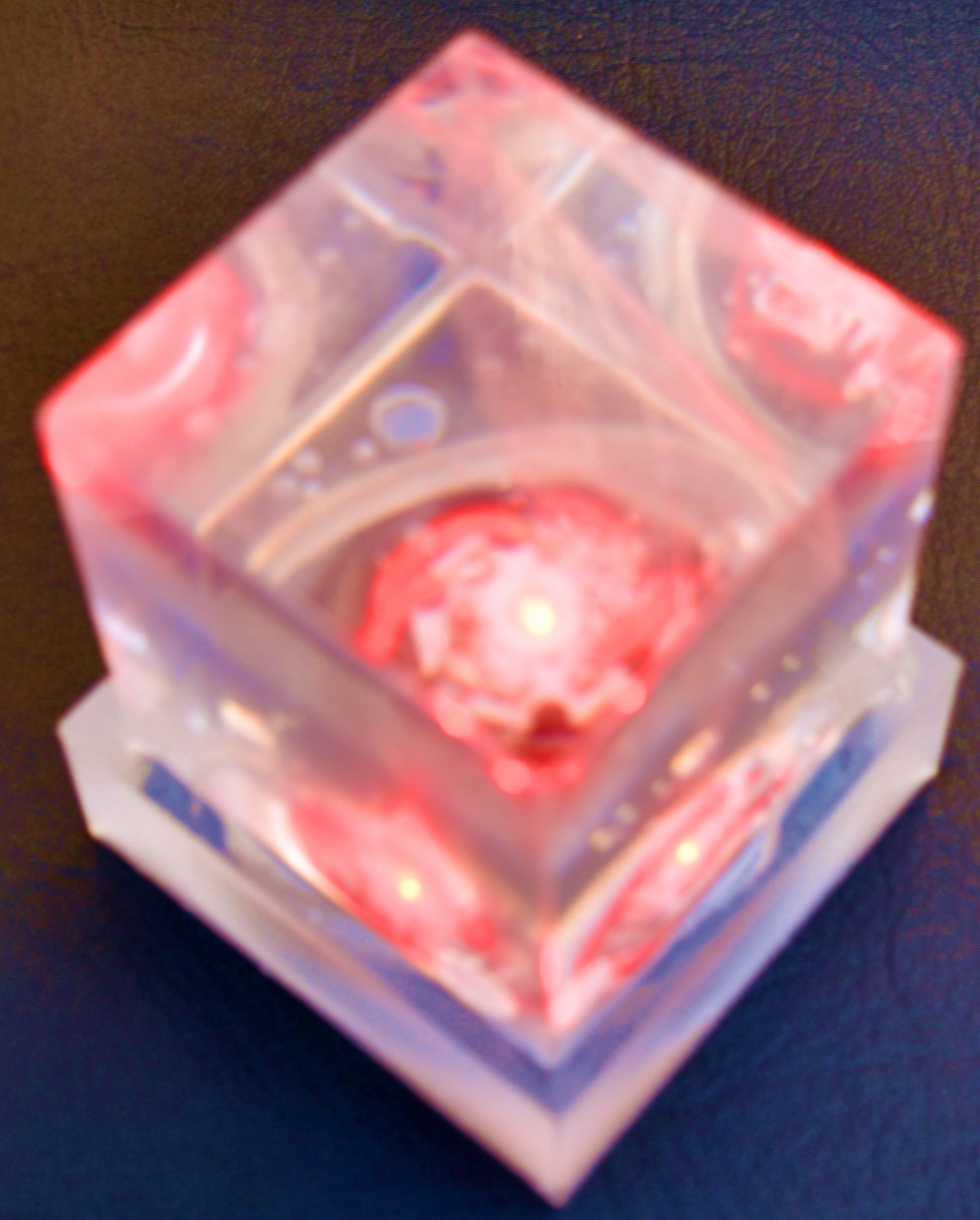 DSC_5558.JPG