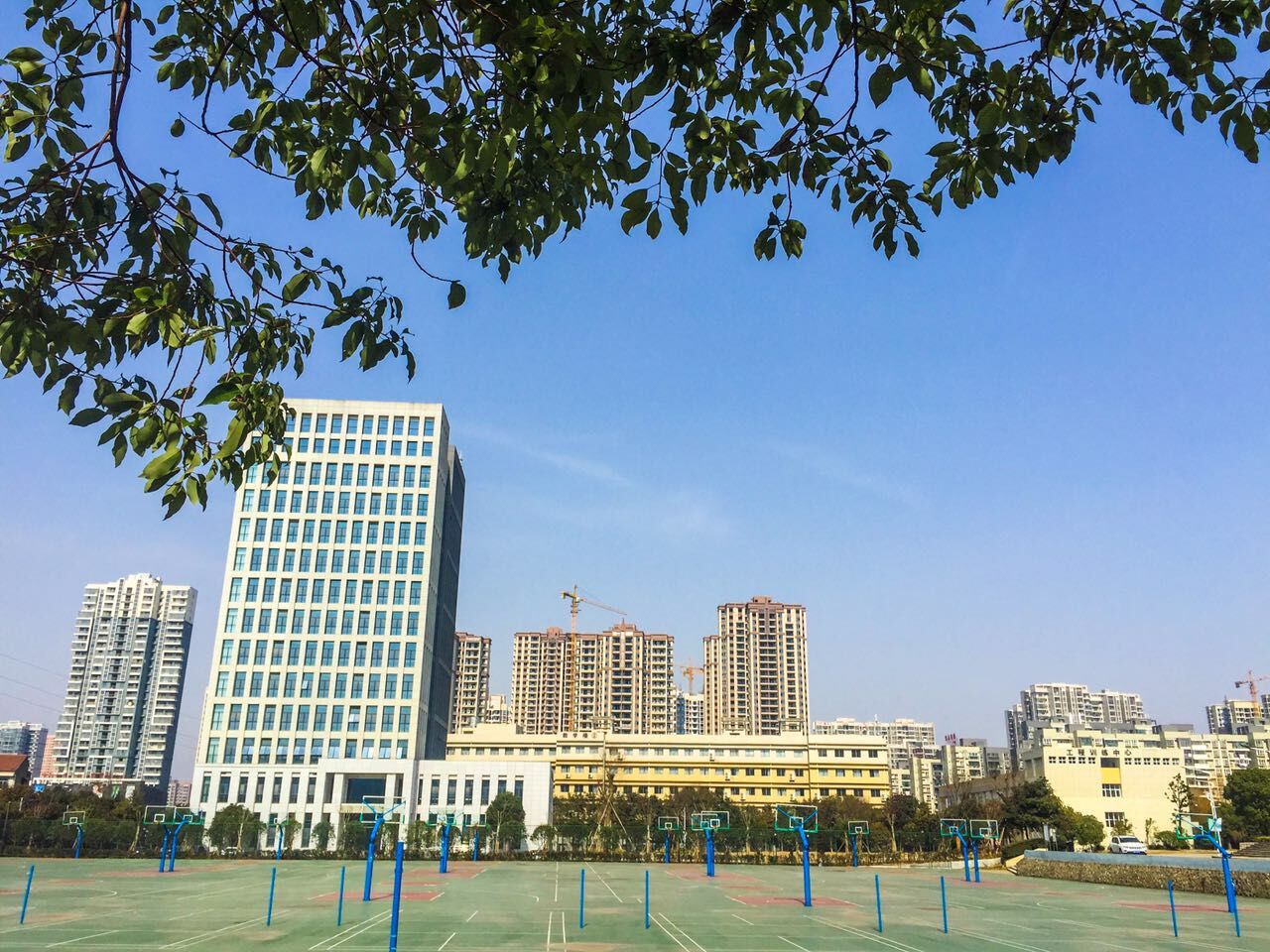 初春武工院等你回家