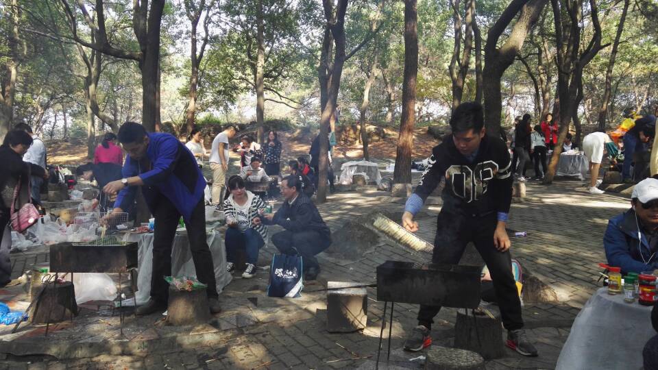 QQ图片20161114093940.jpg