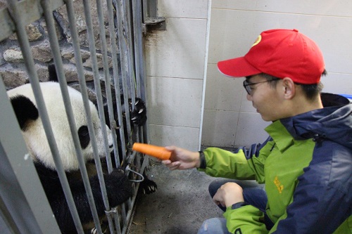 喂食2.JPG