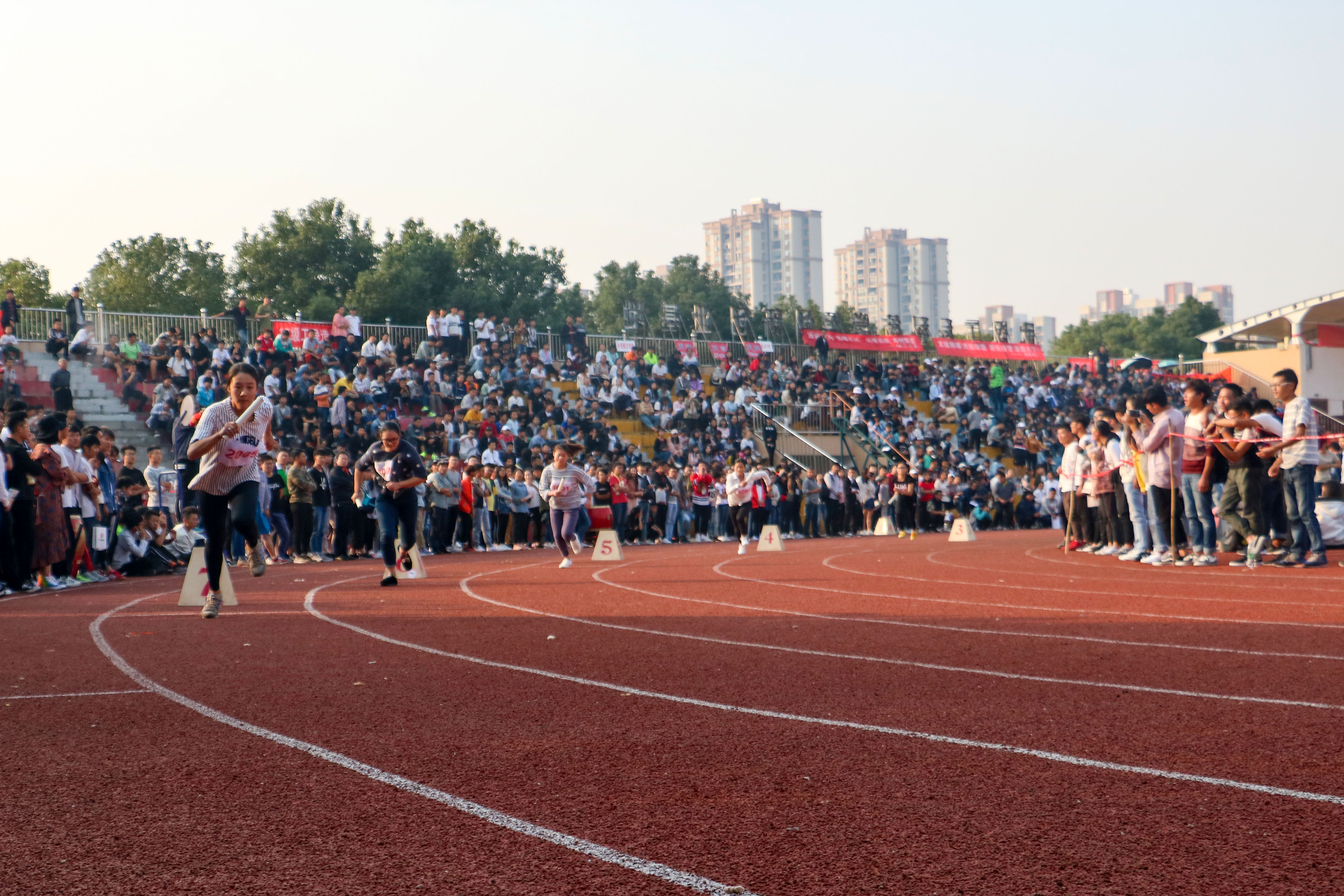 【第十四届运动会】女子4×100米接力赛决赛结果公布 冠亚军仅差0.09秒