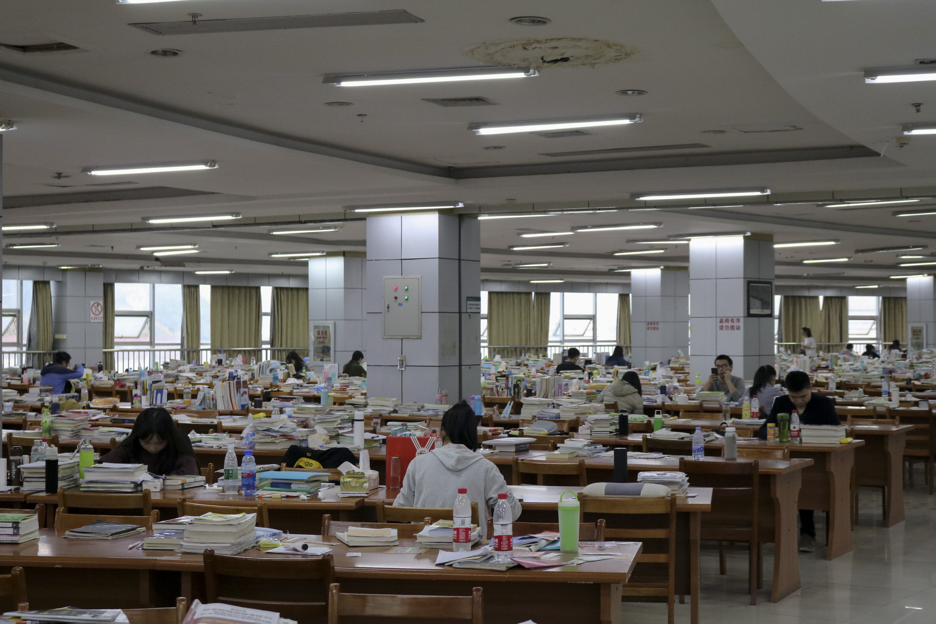 陈政燃 (6).JPG