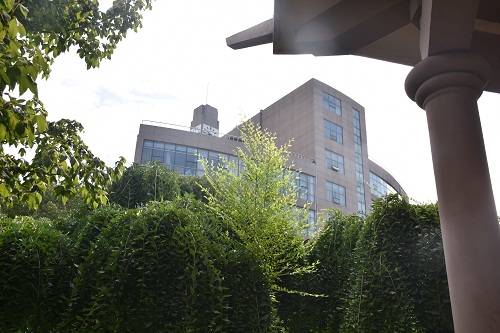 DSC_9596.jpg