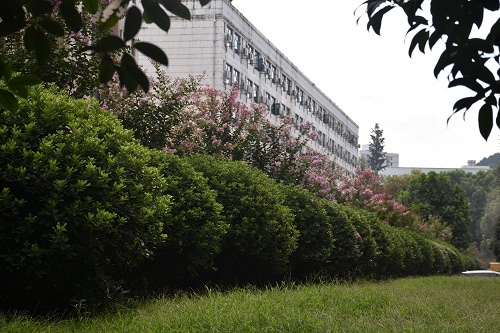 DSC_9556.jpg