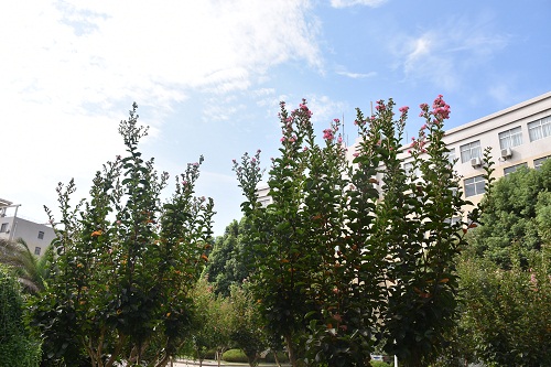 DSC_9597.jpg