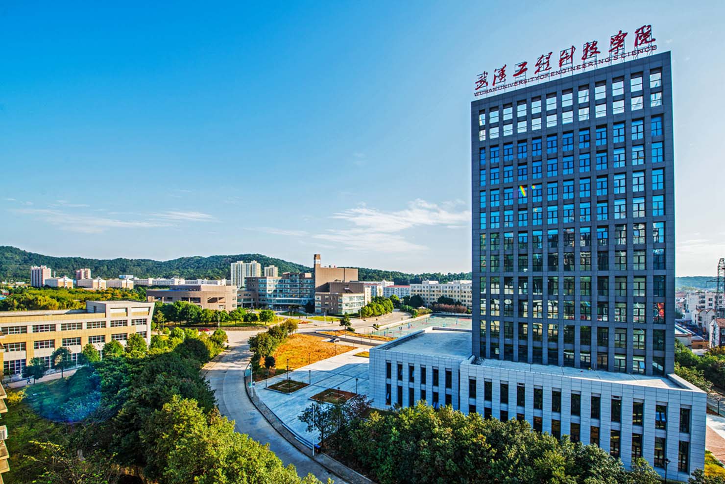 专注成长 科学培养——欧洲五大联赛官网的专科教学特色