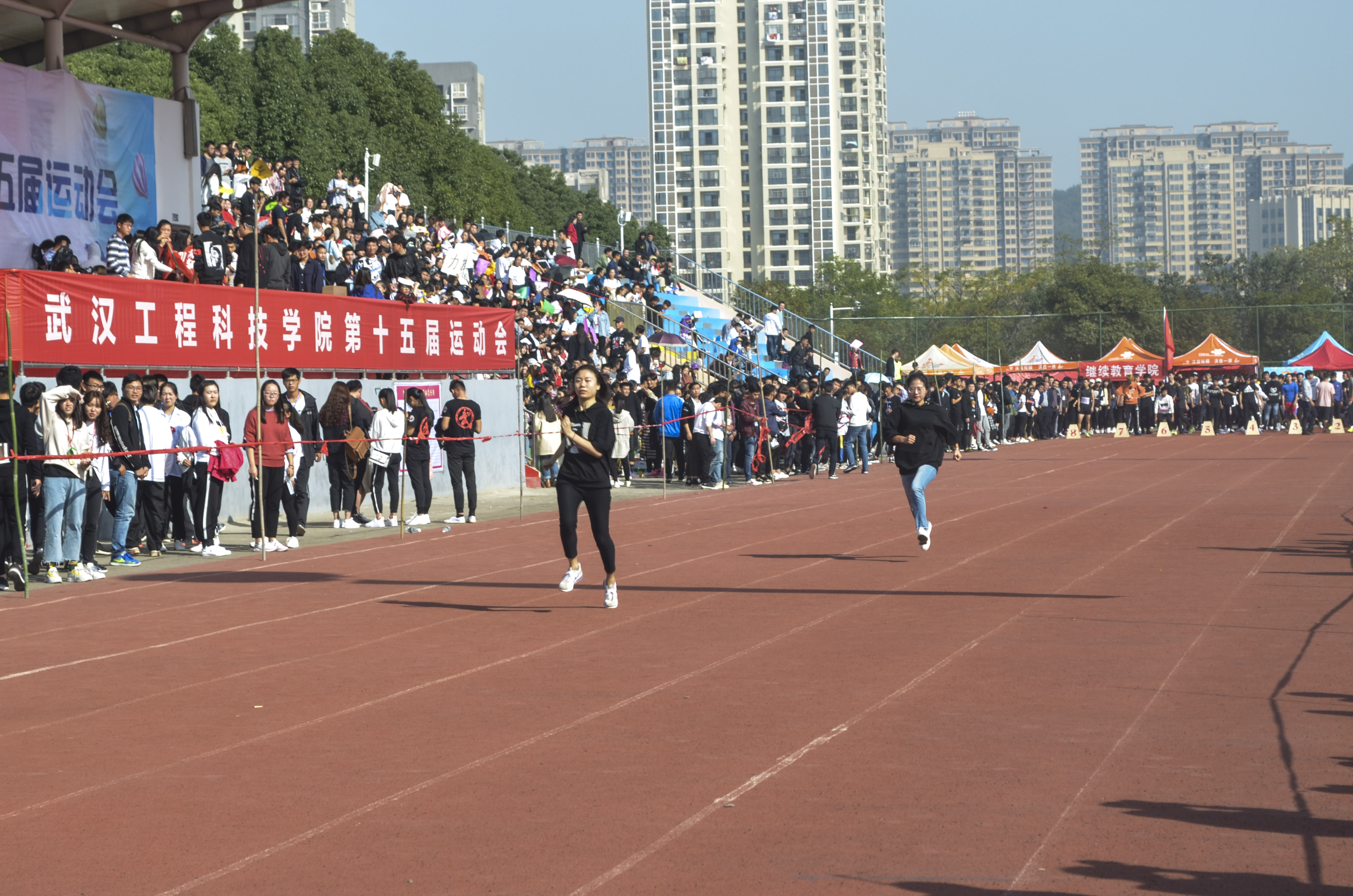 杨禧龙 教工女子100米.JPG