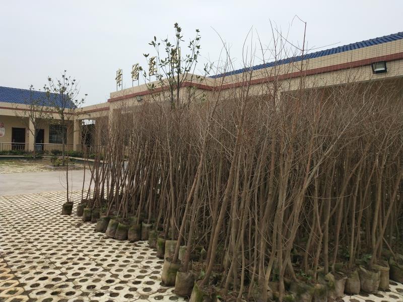 微信图片_20190210100359.jpg