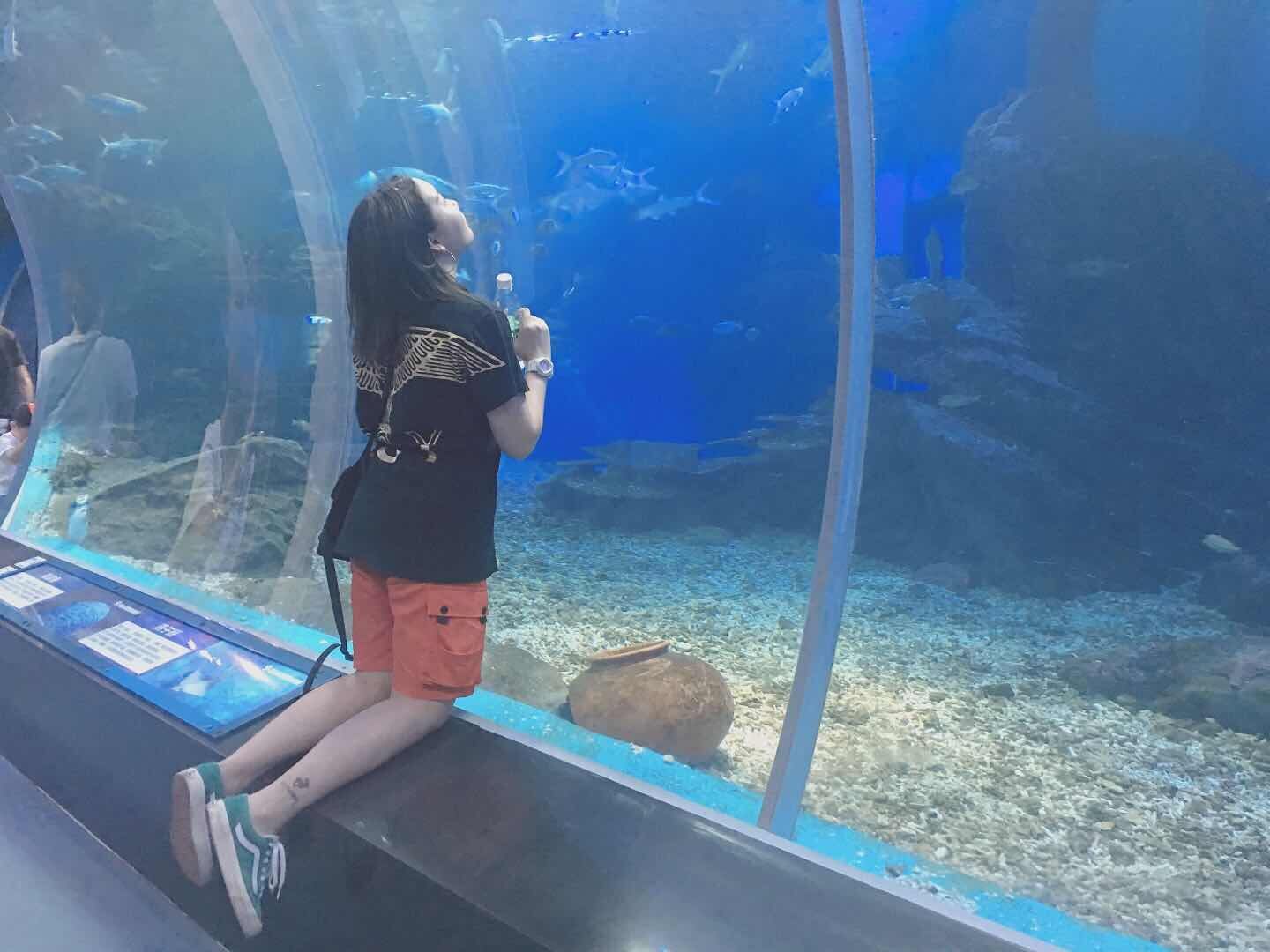 QQ图片20191127110455.jpg