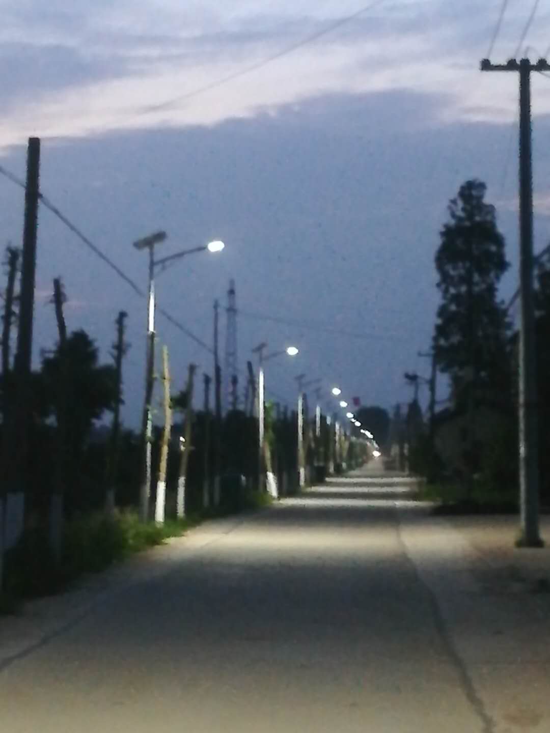 微信图片_20200617102302.jpg