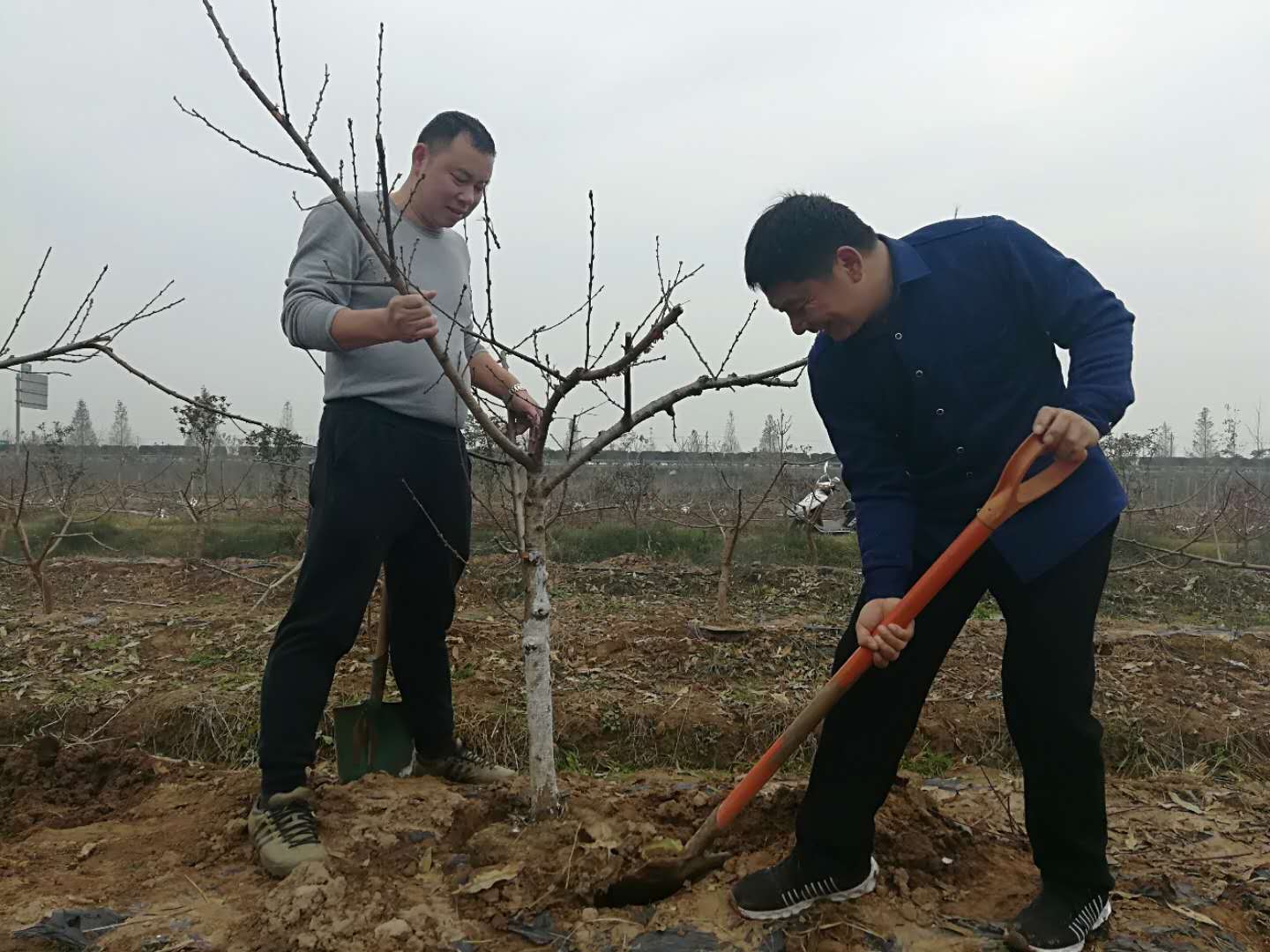 微信图片_20200617110046.jpg