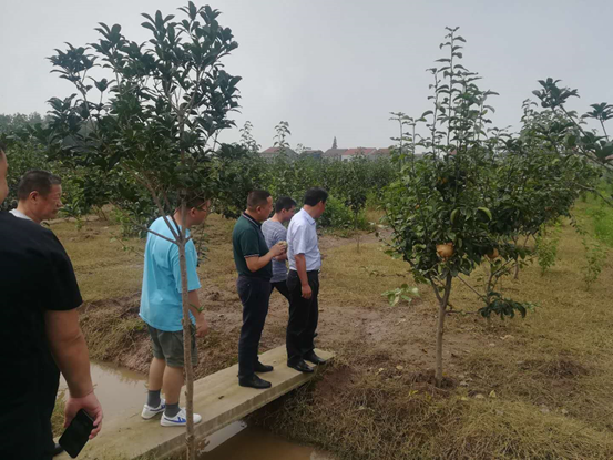微信图片_20200715112807.png