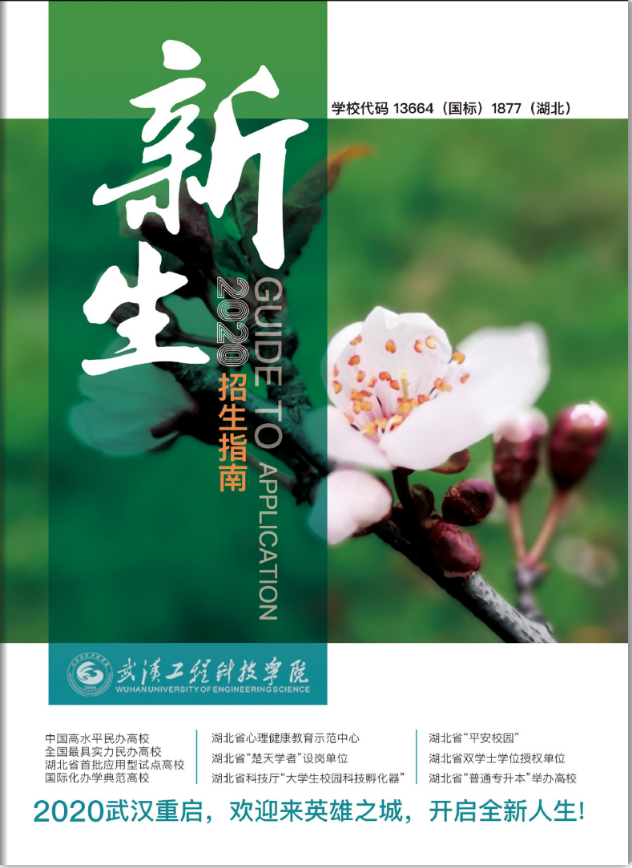 官宣│五大联赛长版招生简章上线,快来看哦!