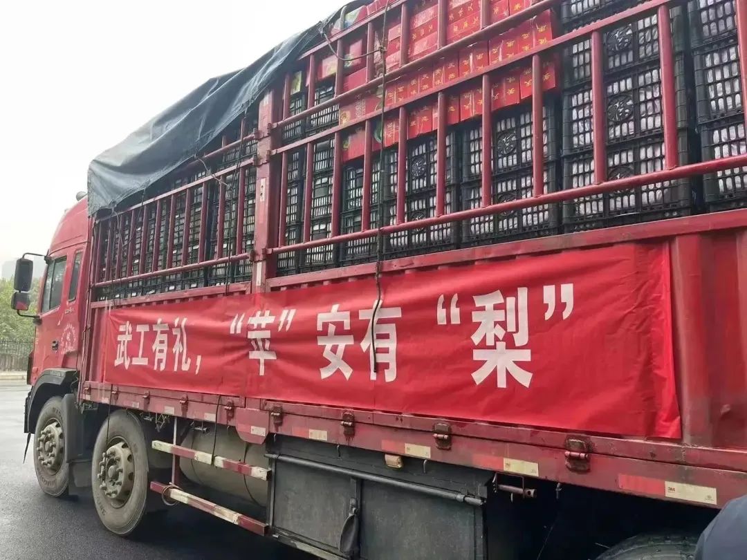 武工有礼,“苹”安有“梨”|五大联赛冬日关怀系列活动圆满结束