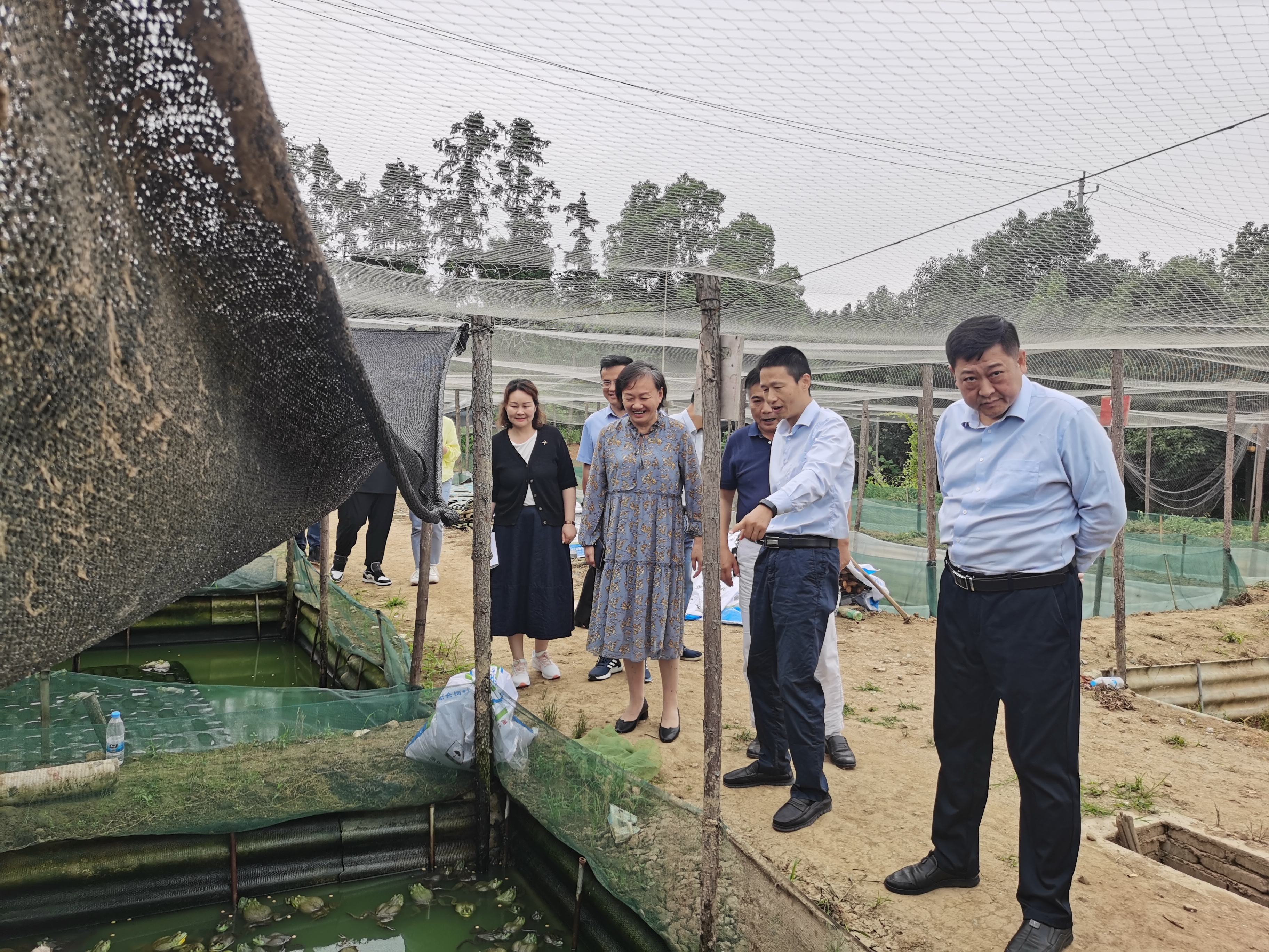 我校党委书记高芸带队前往湖泗街参与乡村振兴调研