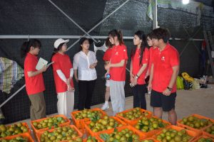 【会计】会计学院完成2024年暑期社会公益实践活动