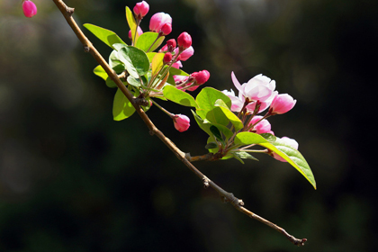 A20130524007.jpg
