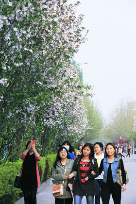 A20140409009.JPG