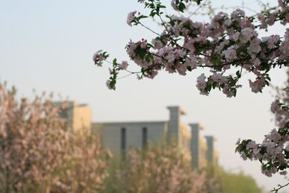 A20140409004.JPG