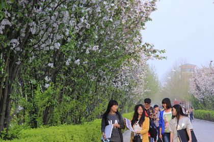 A20140409001.JPG