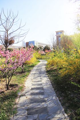 A20140409006.JPG