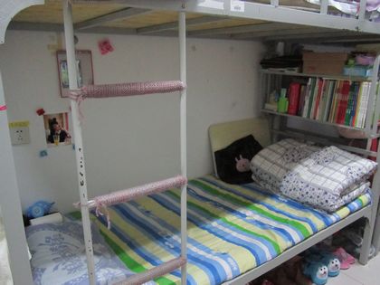 c20111116010.jpg