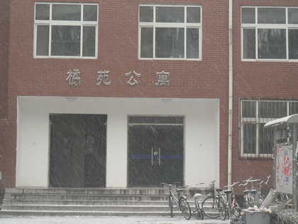 A20111205014.JPG