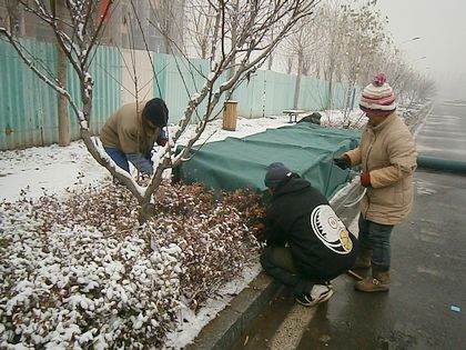 c20111209002.jpg