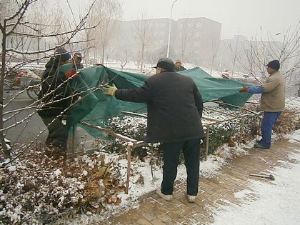 c20111209003.jpg