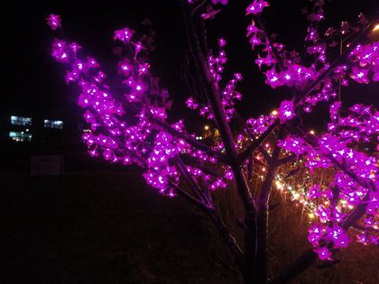 c20111223032.jpg