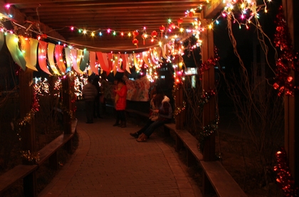 A20111226005.jpg