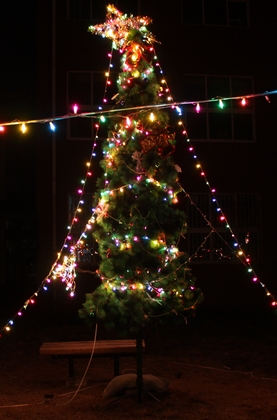 A20111226007.jpg