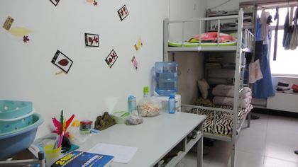 c20120301005.jpg