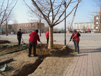 c20120316003.jpg