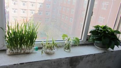 c20120329008.jpg