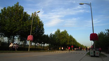 道路.jpg