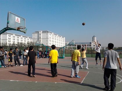 比赛场上展风姿.jpg