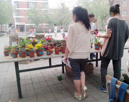 b20130514005.jpg