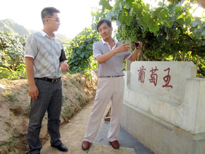 参观葡萄种植园1_副本.jpg