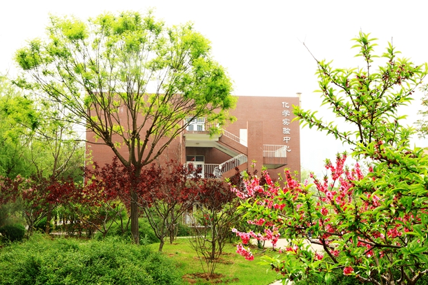 6张红摄影-校园建筑 (15)_副本.jpg