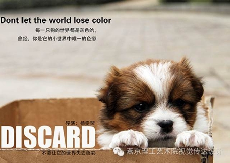 《d》QQ图片20141020085042_副本_副本.jpg