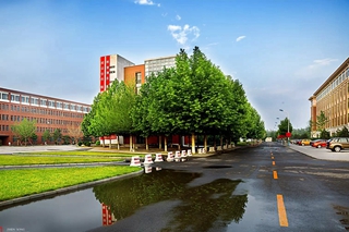 04.jpg