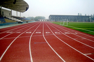2007-2008体育场 二食堂及更多学生公寓竣工 (3).jpg