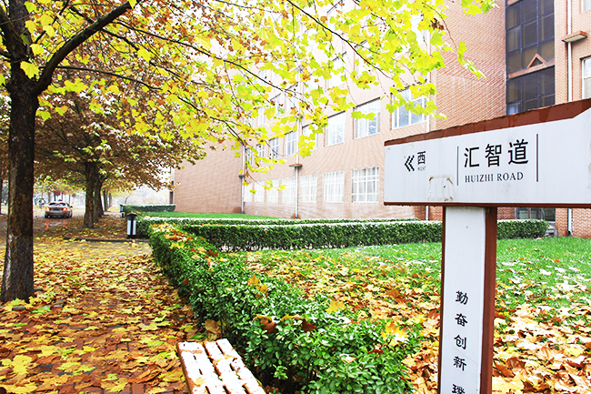 04秋风起兮白云飞，草木黄落兮雁南归。《秋风辞》.jpg