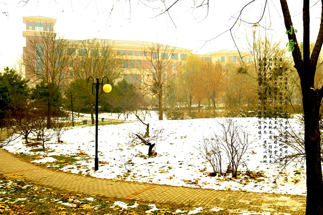 20小雪.jpg