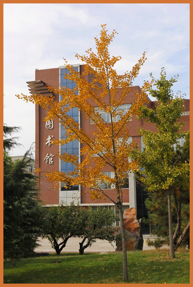 004-01.jpg