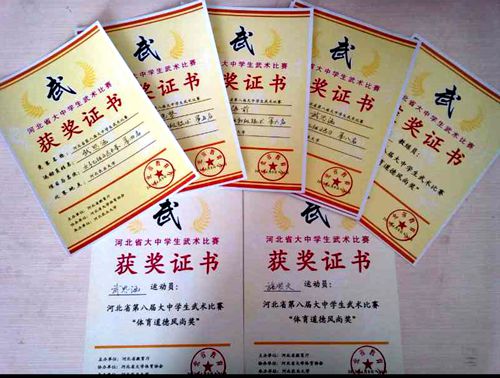 武术比赛4_副本.jpg