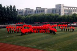 特1G_1940.JPG